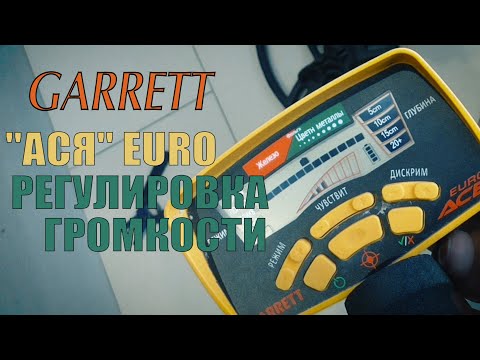 Видео: Garrett 350 euro. Регулировка громкости.