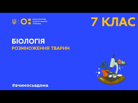 Видео: 7 клас. Біологія. Розмноження тварин  (Тиж.2:ЧТ)