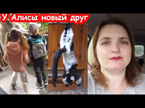Видео: VLOG 4й день в лагере. Вспухшая курица. Паркур
