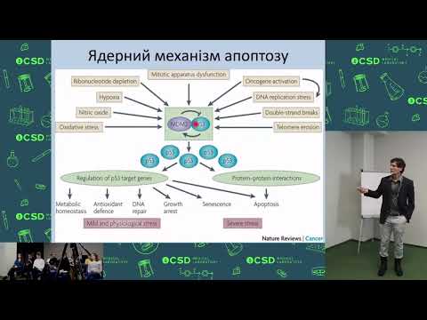 Видео: Молекулярно генетичні механізми раку легень