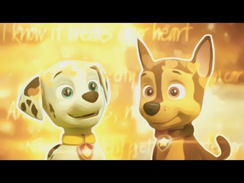 Видео: 🌼Mᴀrshᴀll x Chᴀsᴇ🌼 (Thᴇ Chᴀinsʍᴏᴋᴇrs fᴇᴀᴛ Hᴀlsᴇy-Clᴏsᴇr) Ordᴇr fᴏr Виᴛᴀᴧия ( @vitalia3377 ) 