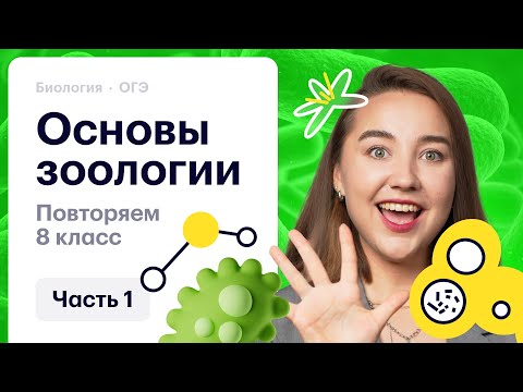 Видео: Повторяем 8 класс: основы зоологии. Часть 1