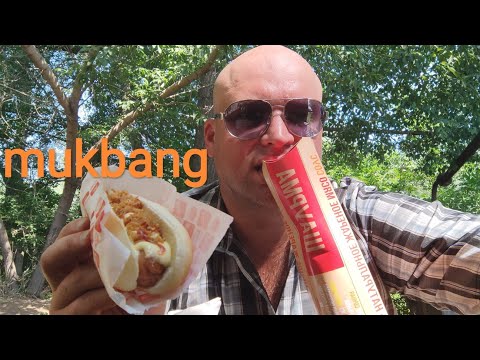 Видео: МУКБАНГ Хот-дог и шаурма из свинины/ОБЖОР на берегу реки Волга