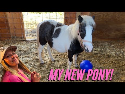 Видео: Я вернулся!