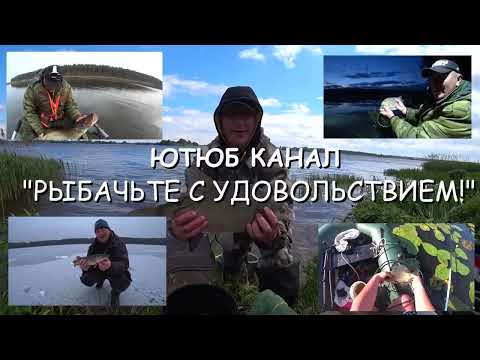 Видео: Фидерная Рыбалка на Реке Неман! Видеоотчёт.