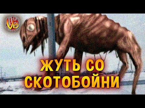 Видео: КРИПОВАЯ ХРЕНАТЕНЬ: ЧАРЛИ