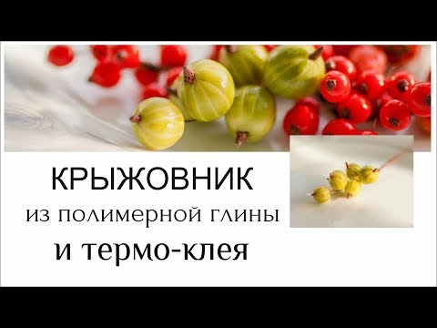 Видео: Крыжовник из полимерной глины и термо-клея. Листики из фоамирана.