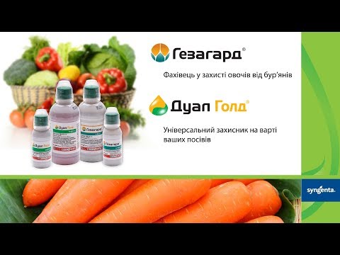 Видео: Применение гербицидов при посадке моркови и капусты