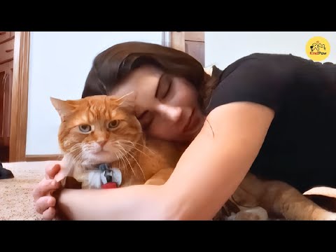 Видео: Она приютила бездомного котёнка, и с тех пор он разговаривает