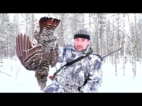 Видео: ДОБЫЛ САМКУ ГЛУХАРЯ / САМАЯ КРУПНАЯ ПТИЦА СЕВЕРА / ОХОТА С МЕЛКАШКОЙ / ОБЪЯСНЯЮ ДИВАННЫМ ЭКСПЕРТАМ.