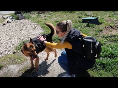 Видео: Посетих ПРИЮТ ЗА КУЧЕТА за първи път