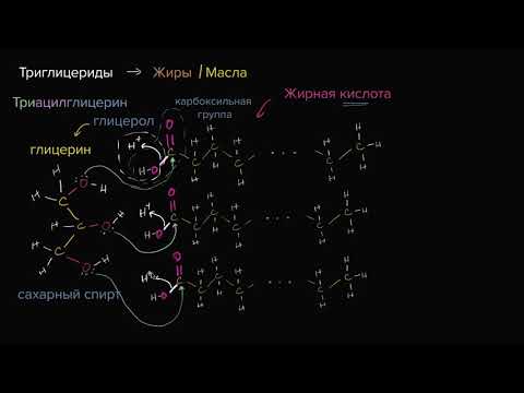 Видео: Молекулярная структура триглицеридов (жиров) (видео 5)| Макромолекулы | Биология