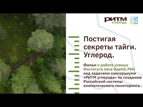 Видео: Постигая секреты тайги. Углерод. Фильм ИЛ КарНЦ РАН, консорциум «РИТМ углерода»
