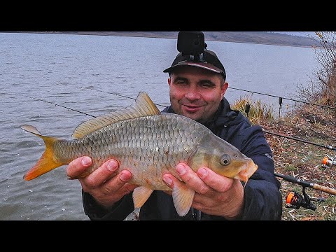 Видео: РЫБАЛКА на КАРПА в НОЯБРЕ!