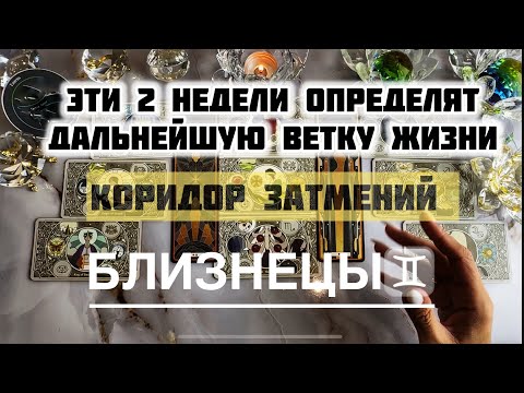 Видео: Близнецы ♊️ 8 - 21 сентября 2025! Таро и Астропрогноз на коридор затмений 