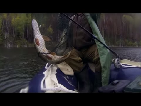 Видео: Щука сентябрьская.  Часть 2.