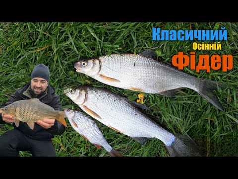 Видео: РИБАЛКА В ЛИСТОПАДІ НА ФІДЕР/ Ловля На Опариш Та Кукуруза на Річці / Частина 1