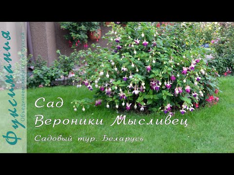 Видео: Сад Вероники Мысливец. Садовый тур, Беларусь