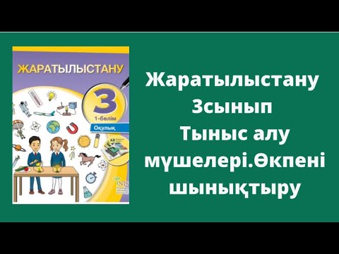 Видео: Жаратылыстану 3сынып Тыныс алу мүшелері Өкпені шынықтыру
