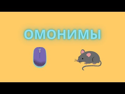 Видео: Омонимы. Виды омонимов.
