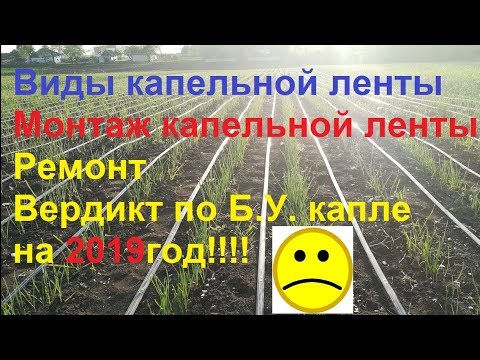 Видео: Монтаж капельного полива от А до Я.Часть 3 Монтаж ленты