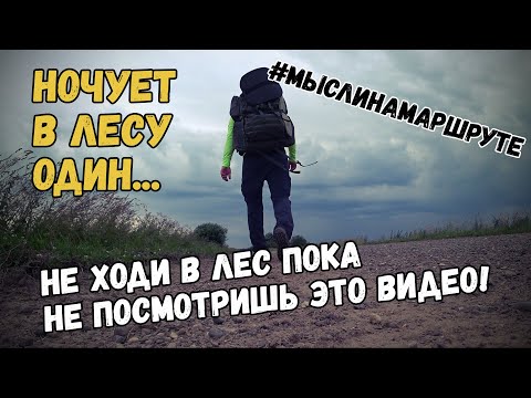 Видео: Как собраться в лес, чтоб не умереть. Одиночный поход с ночевкой. Лесные ягоды и костер.