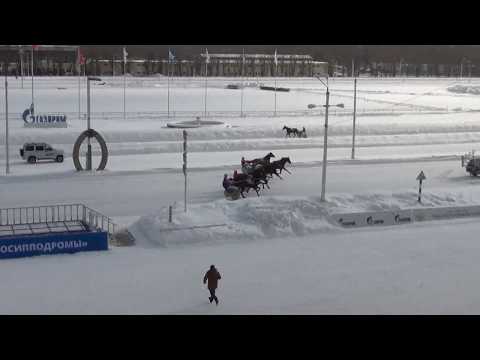 Видео: Московский ипподром. Бега. 25.02.18. Заезд 2(90). ПРИЗ ПАМЯТИ ПОЛКОВНИКА А.А.МАРЧЕНКО