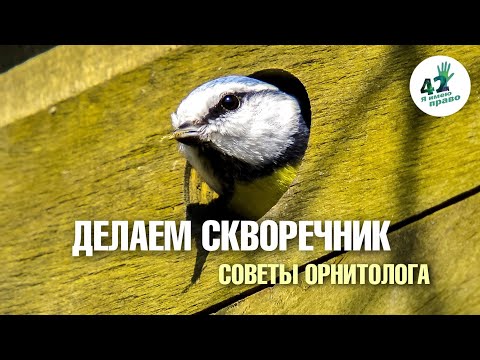 Видео: Орнитолог советует. Как правильно сделать скворечник?