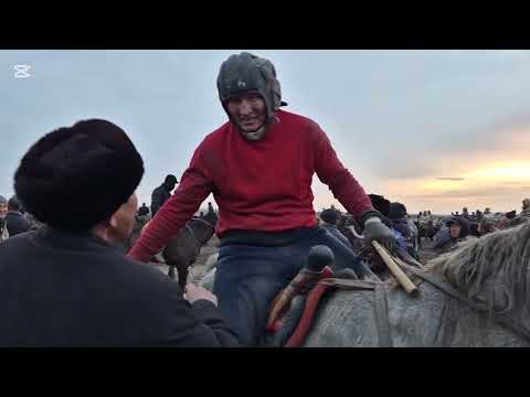 Видео: Кокпар Шымбай  26.02.2025