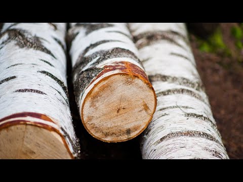 Видео: А Whiskey Barrel from an Birch Log DIY | How to make a Wooden Barrel with your own hands