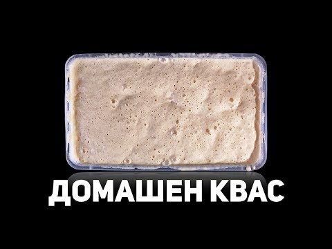 Видео: Ави или КАК ДА ХРАНИМ ДОМАШНИЯ КВАС