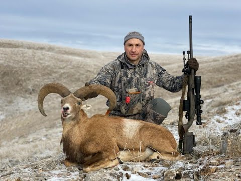 Видео: Охота в Турции - 2021