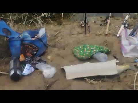 Видео: 27 октября 2024 г.