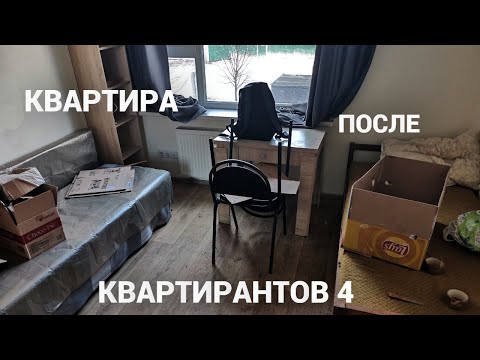 Видео: Квартира после квартирантов 4. Женщина с кошкой.