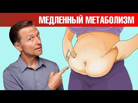 Видео: После диеты набираете еще больший вес? Главная причина - это...