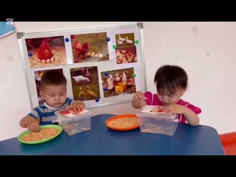 Видео: "Балапандарға жем беру"ойыны.Тәрбиеші Шакмұратова Жадырасын.