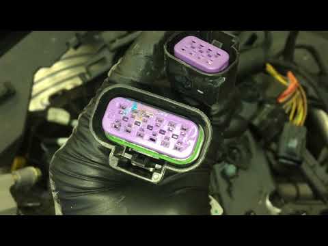 Видео: BRP LYNX 900 ACE утопленник