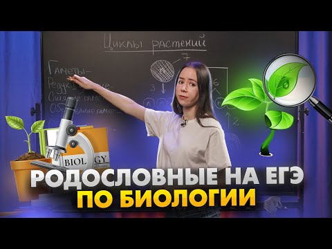 Видео: Родословные ЕГЭ: универсальный алгоритм решения