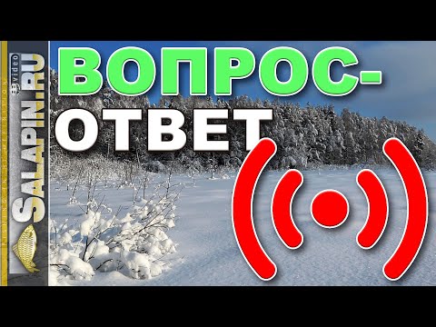 Видео: Поговорим о рыбалке. Вопросы и ответы. 10.03.2021