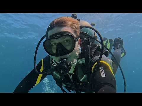 Видео: Дайвинг с акулами на Филиппинах. Пробуем самое знаменитое блюдо на островах.