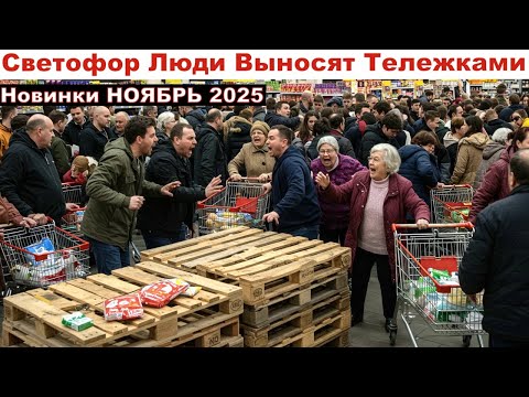 Видео: Светофор🚦Люди Вывозят Тележками Новинки НОЯБРЬ 2025