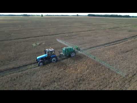 Видео: Десикация гороха 25