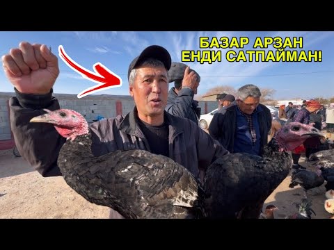 Видео: ҚАРАӨЗЕК ТАУЫҚ БАЗАРЫ БАХАЛАРЫ ӨЗГЕРДИ! 12-НОЯБР 2025/ПТИЧИЙ РЫНОК/ CHICKEN MARKET 