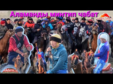 Видео: Таласта аламан улак таза чабылат экен👍👍👍