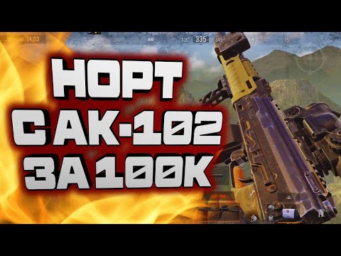 Видео: ARENA BREAKOUT! НОРТРИДЖ С АК-102 ЗА 100К!