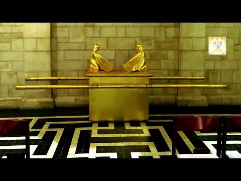 Видео: Недельная глава Трума Ведущий р.Алекс Бленд