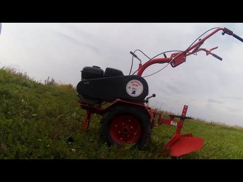 Видео: Мотоблок Агат в деле копка Картошки. Урожай 2023 года!!!