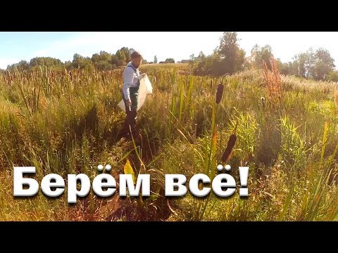 Видео: Женские будни// Забрали все что можно!