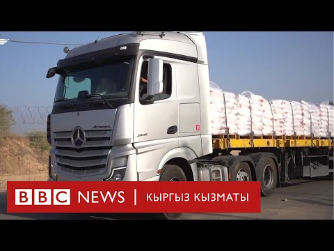 Видео: АКШ Израилди коркуткандан кийин Газага гумжардам өткөрө баштады - Би-Би-Си ТВ 16.10.24