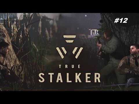 Видео: ПРОПАЖА ДУБИНИНА TRUE STALKER #12